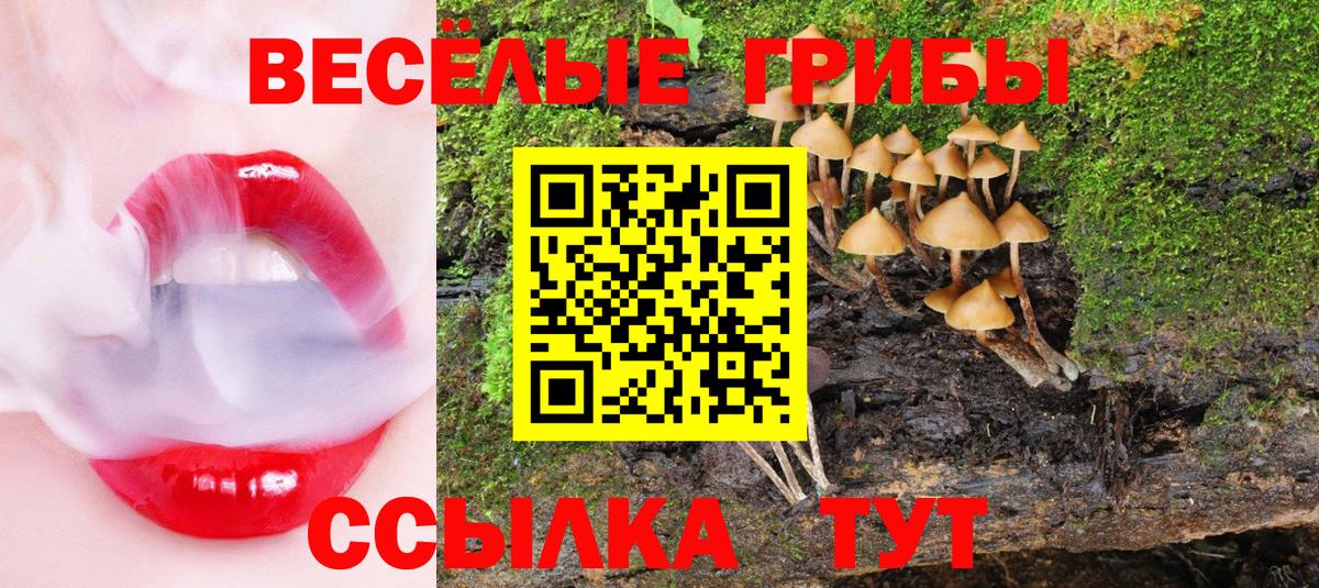 Галлюциногенные грибы Magic Shrooms Светлоград