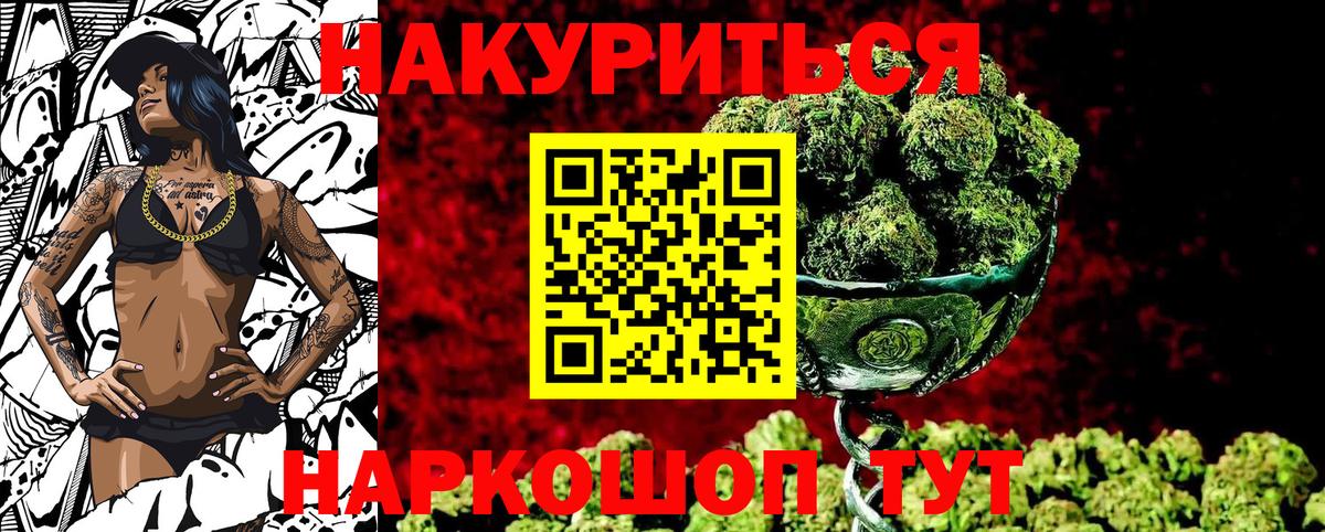 Каннабис сатива Светлоград